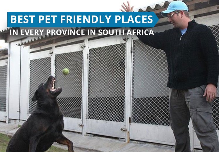 Looking for the best pet friendly places in South Africa?