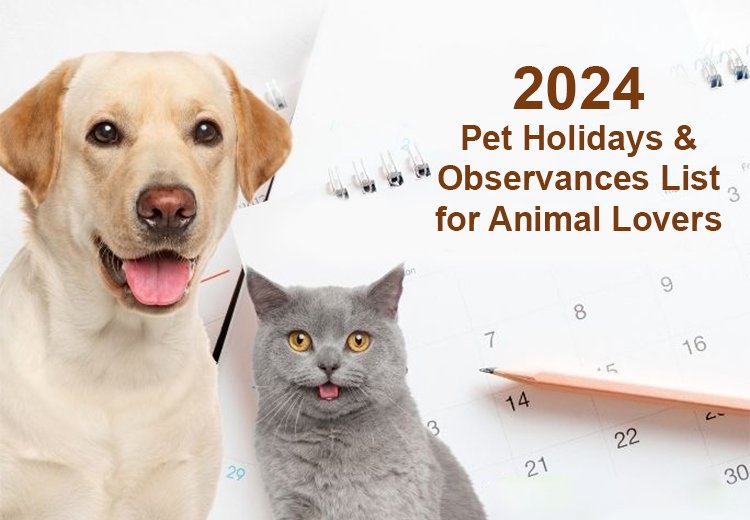 2024 Pet Holidays & Observances in South Africa