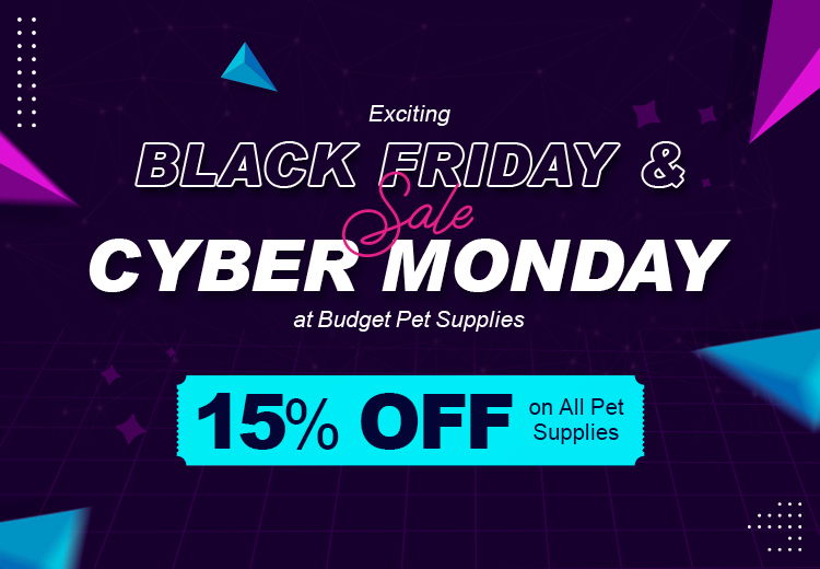 Black Friday & Cyber Monday Sale