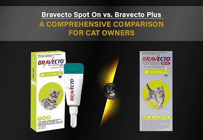 Bravecto Plus vs. Bravecto Spot On for cats