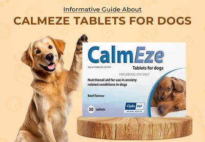 Informative Guide About CalmEze Tablets for Dogs