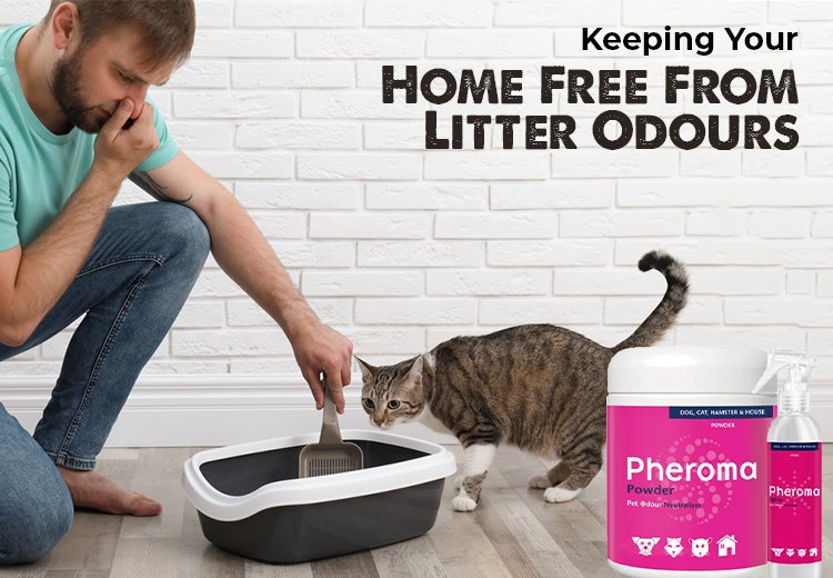 Discover the Best Cat & Dog Litter Odor Eliminators to Keep Your Home
