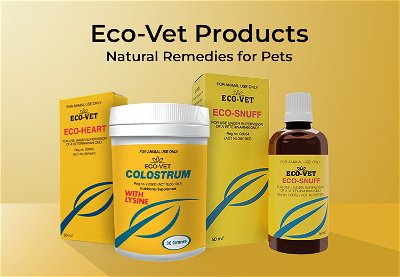 Ecovet top rated products