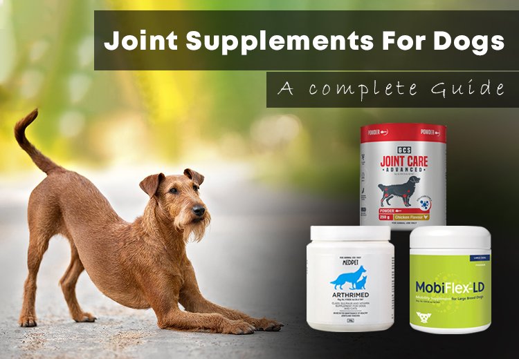 The Ultimate Guide to Joint Supplements for Dogs: Everything You Need to Know