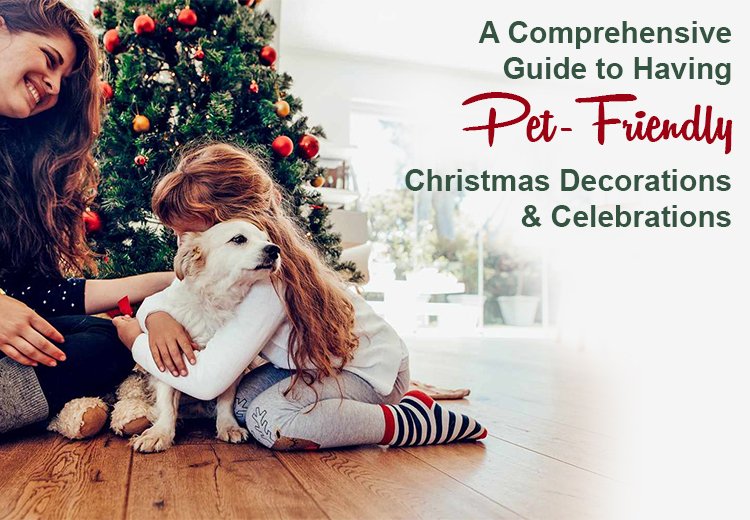 A Comprehensive Guide to Having Pet-Friendly Christmas Decorations and Celebrations