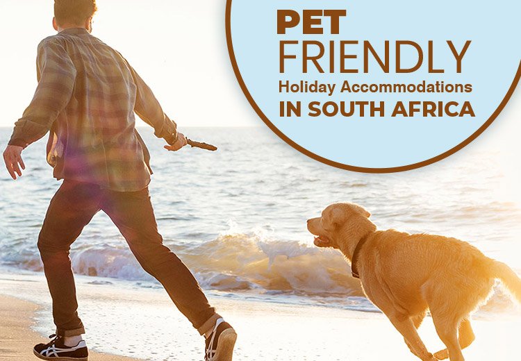 Pet-Friendly Holiday Accommodations in South Africa