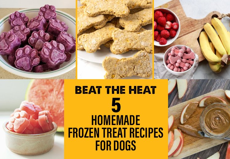 Beat the Heat: 5 Homemade Frozen Treat Recipes for Dogs