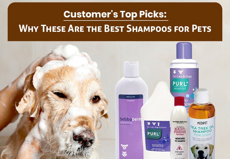 Unveiling the Best Shampoos for Pets: Customer's Top Picks and Why