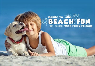 Guide to Beach Fun with Furry Friends
