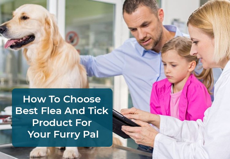 How To Choose the Best Flea And Tick Product For Your Furry Pal?
