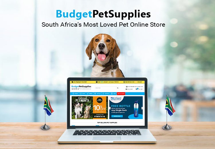 Budget Pet Supplies South Africa's Most Loved Online Pet Supplies Store