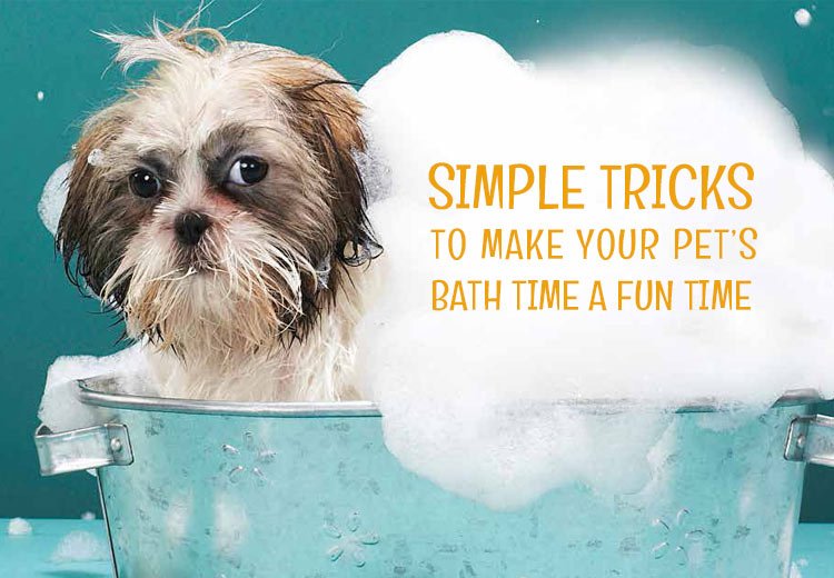 Simple Tricks to Make Your Pet’s Bath Time a Fun Time