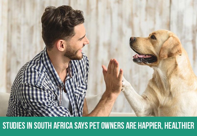 Studies Show South Africa’s Pet Owners Are Happier