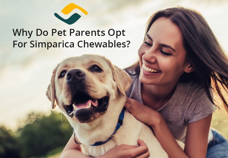 Why Do Pet Parents Opt For Simparica Chewables?
