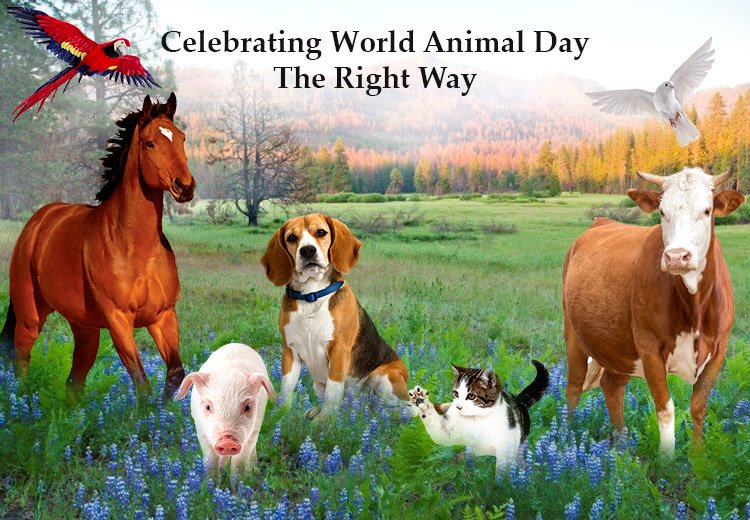 Celebrating World Animal Day The Right Way