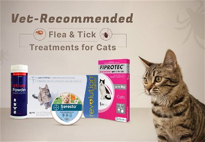 Vet-Recommended Flea & Tick Treatments for Cats