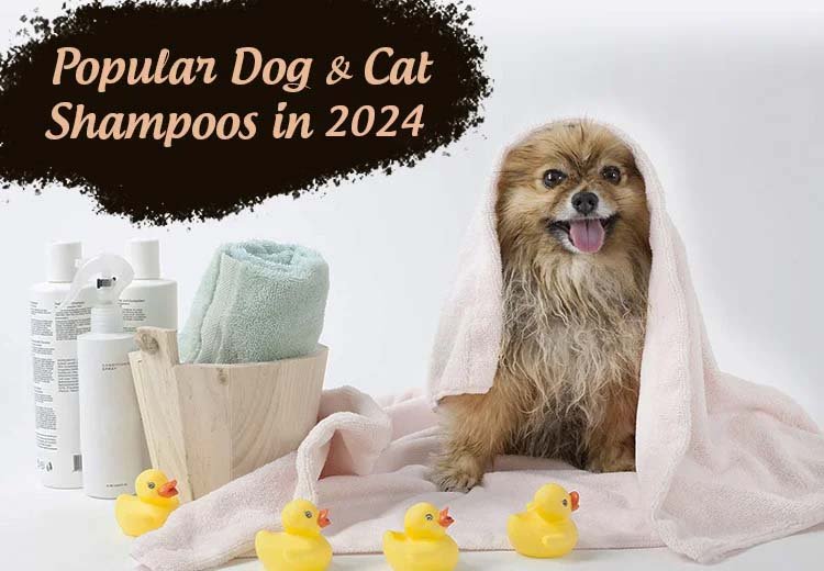 Popular Dog & Cat Shampoo in 2024