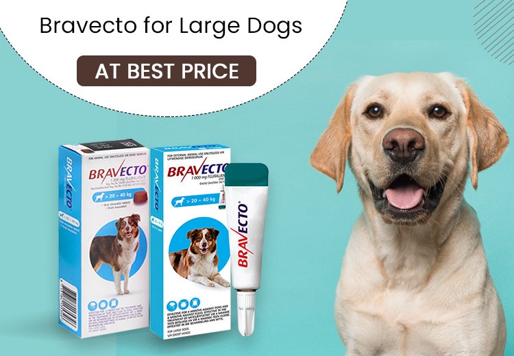 Bravecto for Dogs at Best Price in South Africa