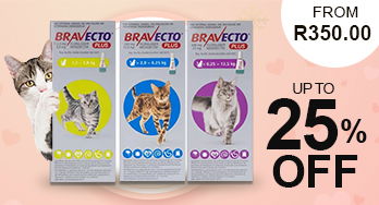 Bravecto Plus