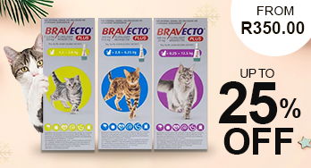 Bravecto Plus