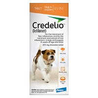 Credelio for Dogs 5.5-11 KG (225mg) Orange
