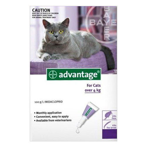 Advantage large cat outlet 4 pack