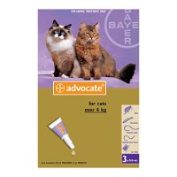 Advocate for Large Cats above 4KG - Purple (0.8ml)
