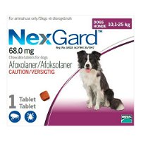 Nexgard for Large Dogs 10.1-25KG - Purple (3G)