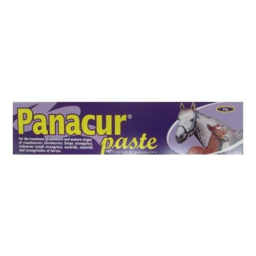 Panacur Horse Paste