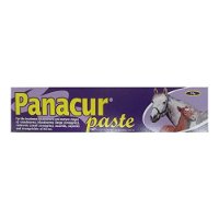 Panacur Horse Paste for Horses - 24Gm