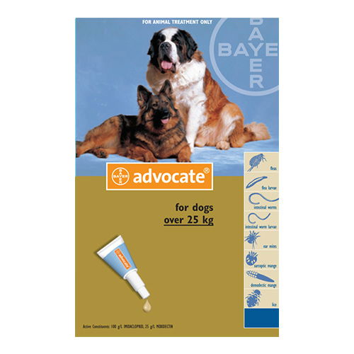 Advocate for dogs over 25kg best sale 6 pack