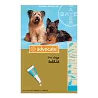 Advocate for Medium Dogs 4-10Kg - Turqouise (1.0ML)