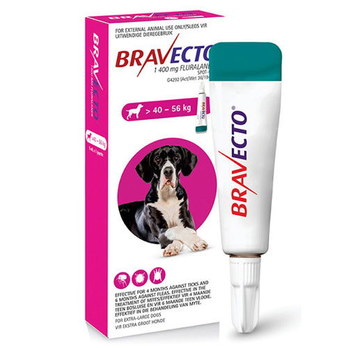 Bravecto large dog 2 cheap pack