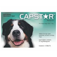 Capstar for Large Dogs (Green)