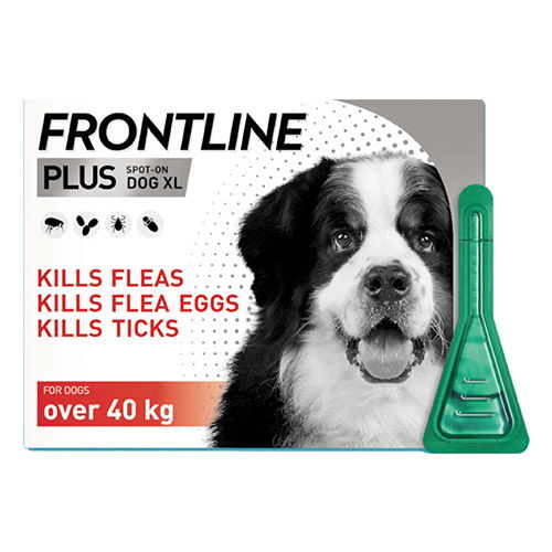 Frontline plus outlet purple