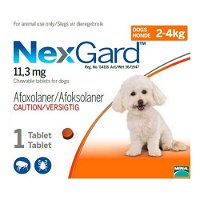 Nexgard for Small Dogs 2-4KG - Orange (0.5G)