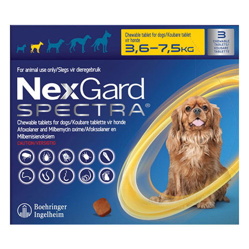 Cheap nexgard store