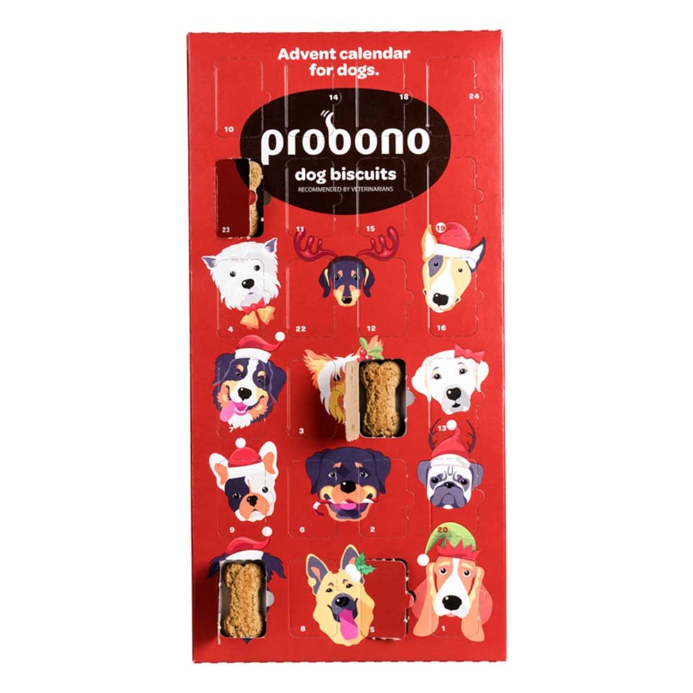 Probono Advent Calendar Biscuits Treat for Dog